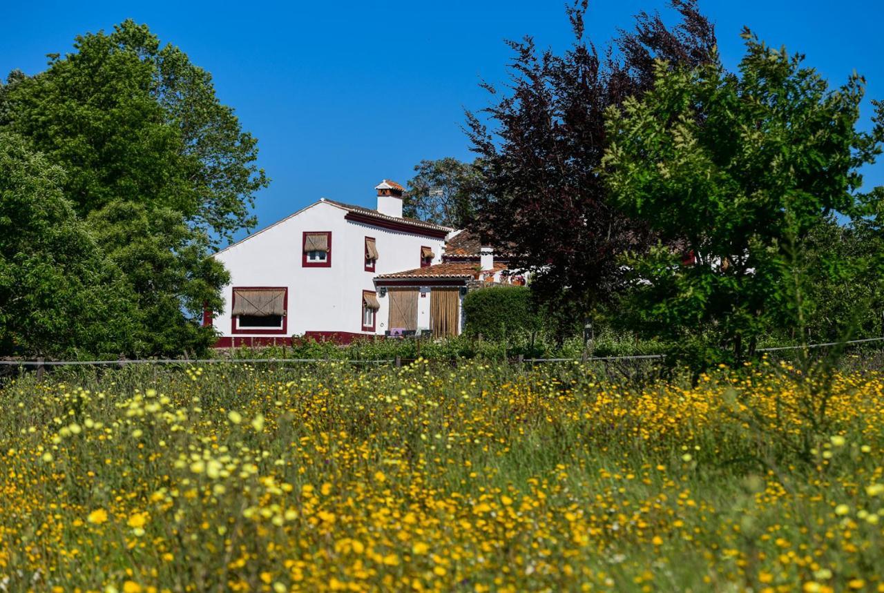 Quinta Da Dourada Hotel Portalegre Exterior photo
